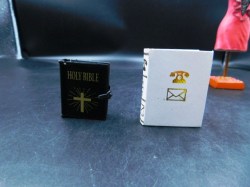 black bible white book